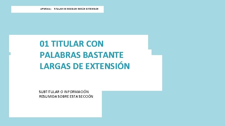 UPV / EHU I UPV/EHU | TITULAR DE SECCIÓN SEGÚN EXTENSIÓN 01 TITULAR CON