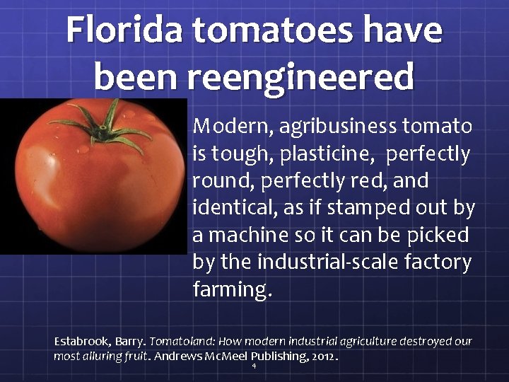 Florida tomatoes have been reengineered Modern, agribusiness tomato is tough, plasticine, perfectly round, perfectly