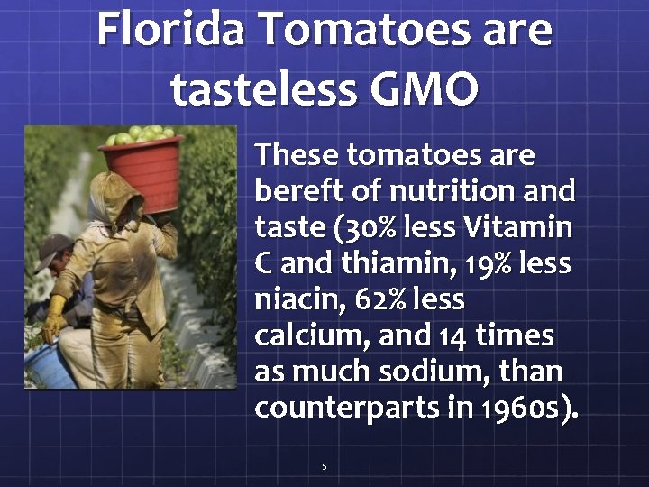 Florida Tomatoes are tasteless GMO These tomatoes are bereft of nutrition and taste (30%