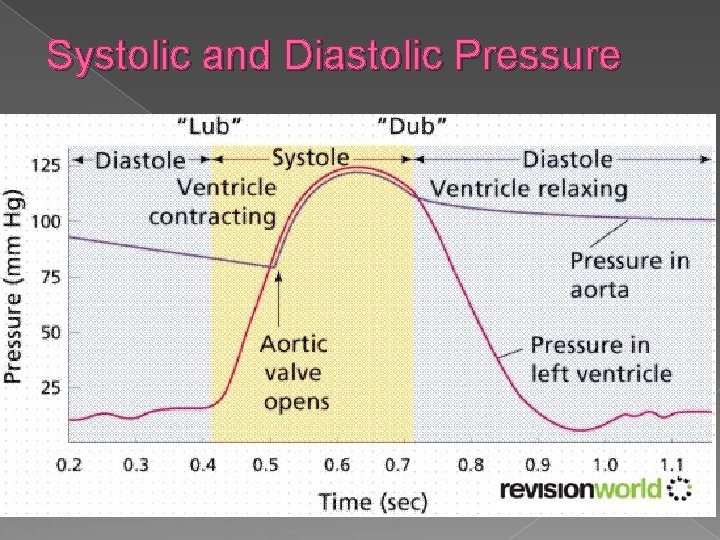Systolic and Diastolic Pressure 