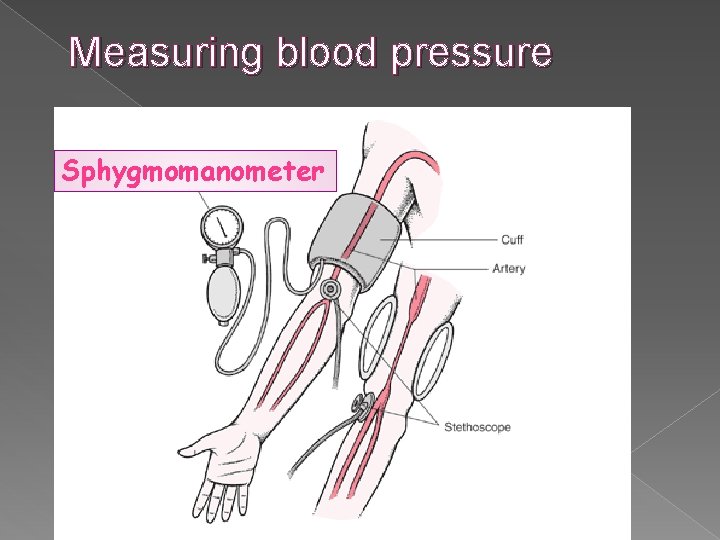 Measuring blood pressure Sphygmomanometer 