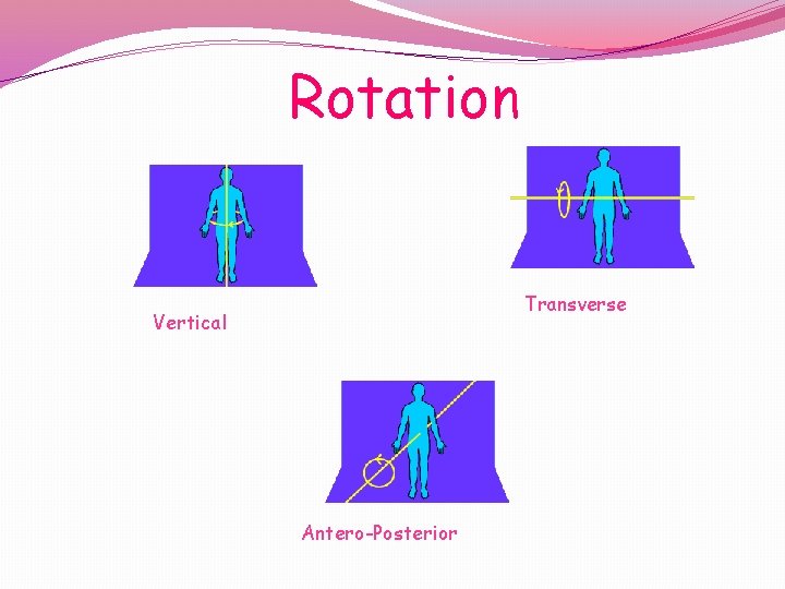 Rotation Transverse Vertical Antero-Posterior 