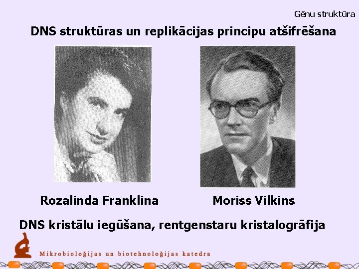 Gēnu struktūra DNS struktūras un replikācijas principu atšifrēšana Rozalinda Franklina Moriss Vilkins DNS kristālu