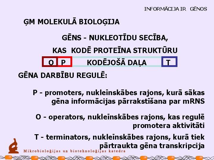 INFORMĀCIJA IR GĒNOS ĢM MOLEKULĀ BIOLOĢIJA GĒNS - NUKLEOTĪDU SECĪBA, KAS KODĒ PROTEĪNA STRUKTŪRU