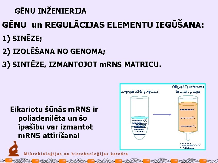 GĒNU INŽENIERIJA GĒNU un REGULĀCIJAS ELEMENTU IEGŪŠANA: 1) SINĒZE; 2) IZOLĒŠANA NO GENOMA; 3)