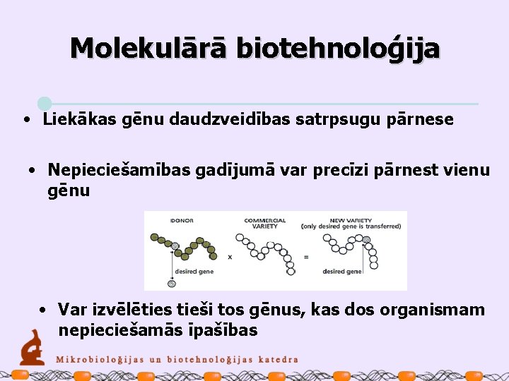 Molekulārā biotehnoloģija • Liekākas gēnu daudzveidības satrpsugu pārnese • Nepieciešamības gadījumā var precīzi pārnest