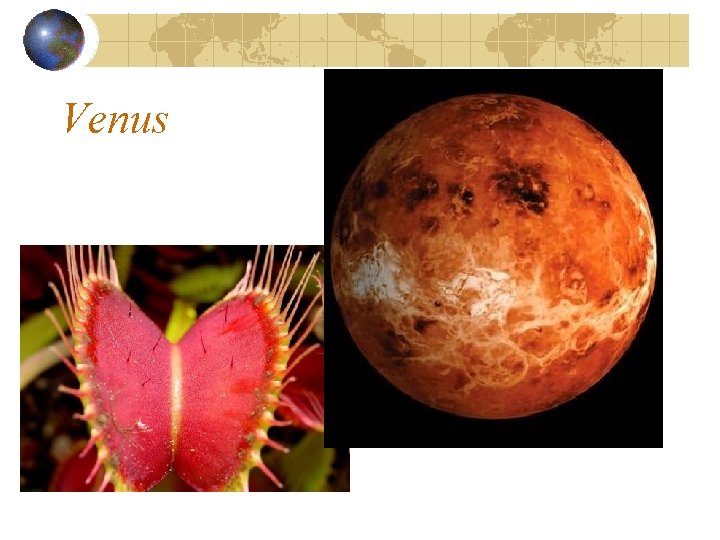 Venus 