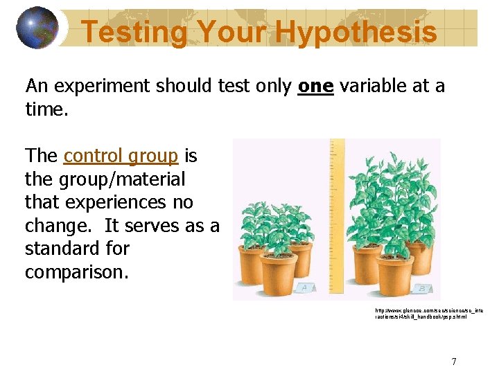 Testing Your Hypothesis An experiment should test only one variable at a time. The
