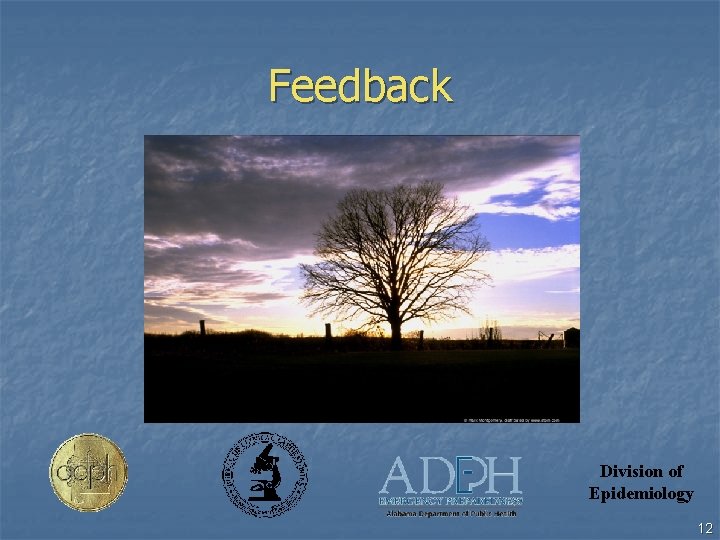 Feedback Division of Epidemiology 12 