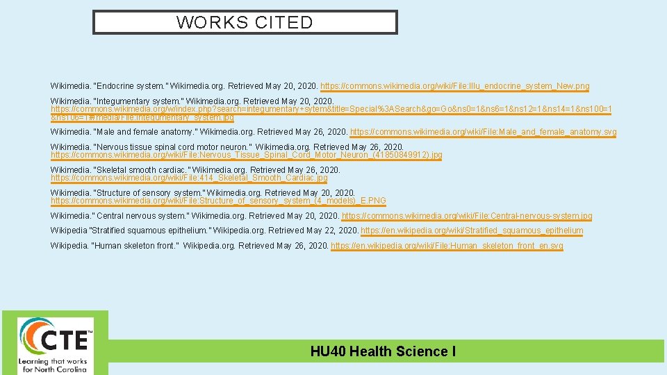 WORKS CITED Wikimedia. “Endocrine system. ” Wikimedia. org. Retrieved May 20, 2020. https: //commons.