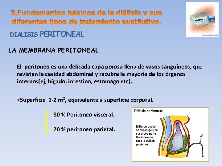 DIALISIS PERITONEAL LA MEMBRANA PERITONEAL El peritoneo es una delicada capa porosa llena de