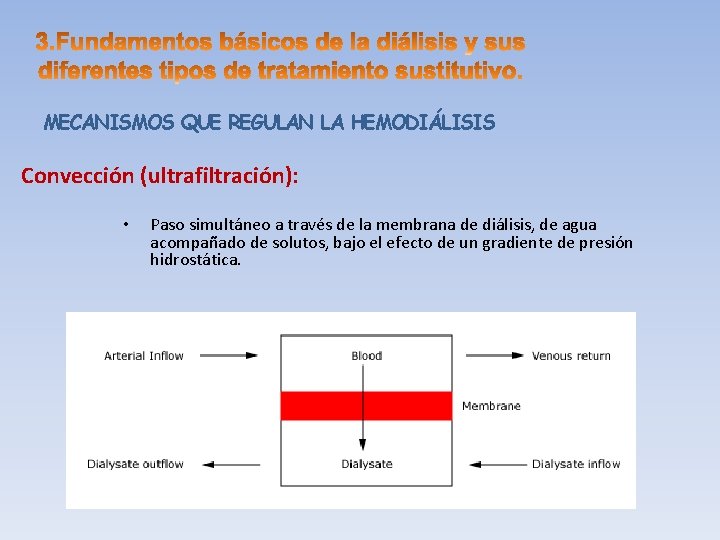 MECANISMOS QUE REGULAN LA HEMODIÁLISIS Convección (ultrafiltración): • Paso simultáneo a través de la