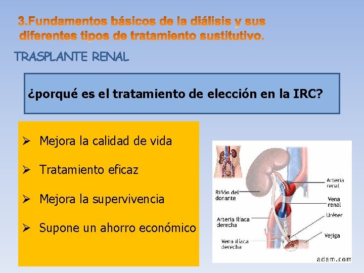 TRASPLANTE RENAL ¿porqué es el tratamiento de elección en la IRC? Ø Mejora la