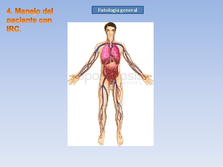 Patologia Disfuncion Patologia Alt. Desnutricion Cardiopatia Sd Depresion Diabetes neurologica Anemia plaquetaria HPT 2º