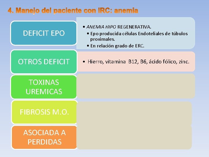 DEFICIT EPO OTROS DEFICIT TOXINAS UREMICAS FIBROSIS M. O. ASOCIADA A PERDIDAS • ANEMIA