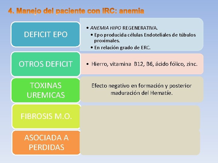 DEFICIT EPO • ANEMIA HIPO REGENERATIVA. • Epo producida células Endoteliales de túbulos proximales.