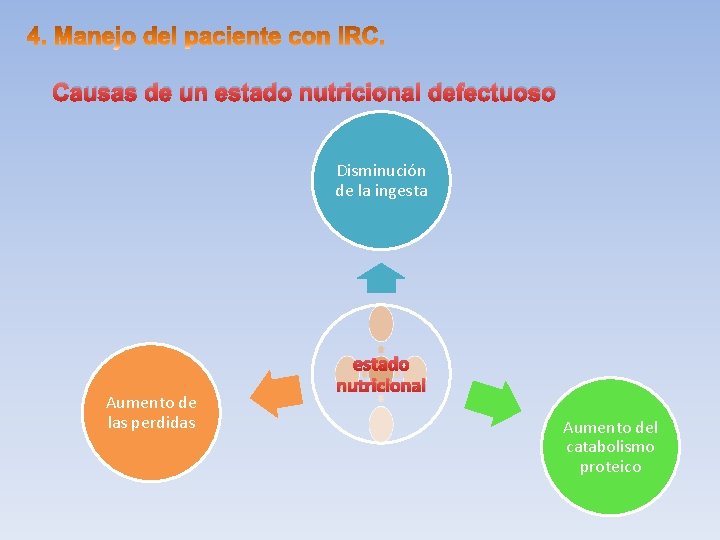 Causas de un estado nutricional defectuoso Disminución de la ingesta Aumento de las perdidas