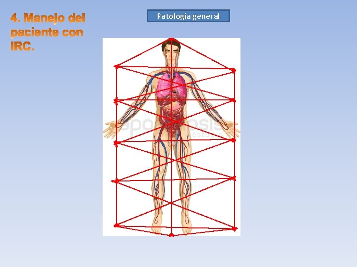 Patologia Disfuncion Patologia Alt. Desnutricion Cardiopatia Sd Depresion Diabetes neurologica Anemia plaquetaria HPT 2º