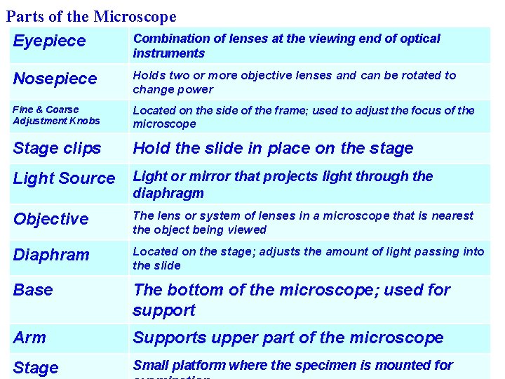 Parts of the Microscope Combination of lenses at the viewing end of optical Eyepiece