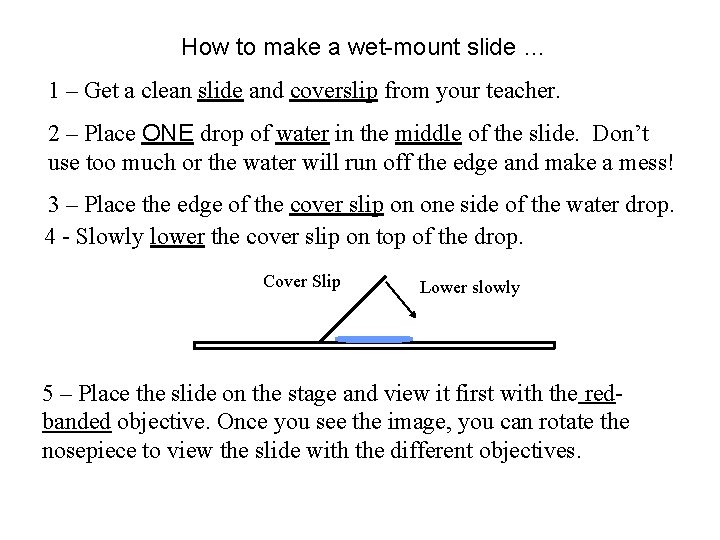 How to make a wet-mount slide … 1 – Get a clean slide and