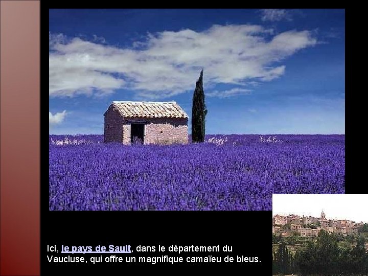 Ici, le pays de Sault, dans le département du Vaucluse, qui offre un magnifique