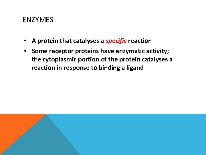 ENZYMES • A protein that catalyses a specific reaction • Some receptor proteins have ENZYMES • A protein that catalyses a specific reaction • Some receptor proteins have