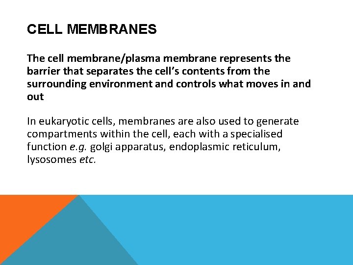CELL MEMBRANES The cell membrane/plasma membrane represents the barrier that separates the cell’s contents