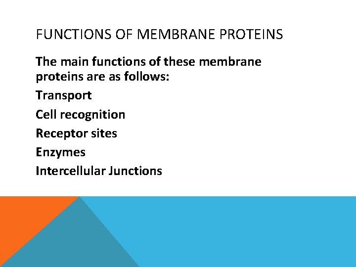 FUNCTIONS OF MEMBRANE PROTEINS The main functions of these membrane proteins are as follows: