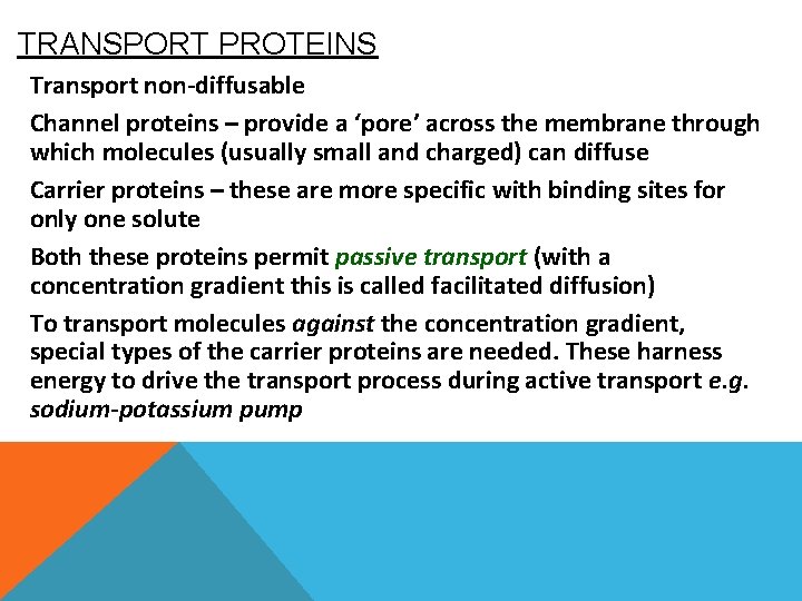 TRANSPORT PROTEINS Transport non-diffusable Channel proteins – provide a ‘pore’ across the membrane through