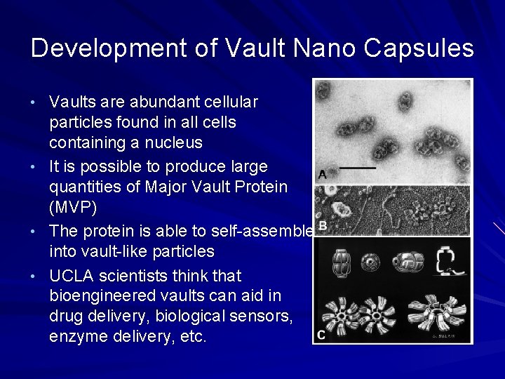 Development of Vault Nano Capsules • Vaults are abundant cellular particles found in all