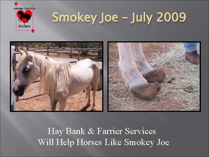 Smokey Joe – July 2009 Hay Bank & Farrier Services Will Help Horses Like