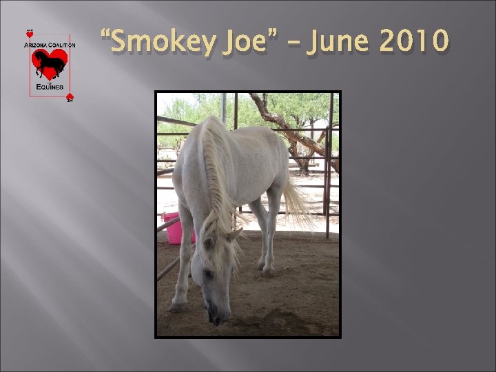 “Smokey Joe” – June 2010 