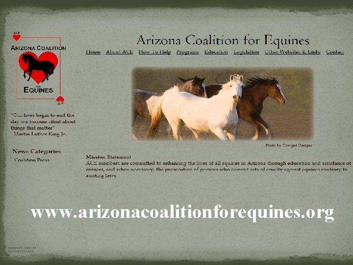 www. arizonacoalitionforequines. org 