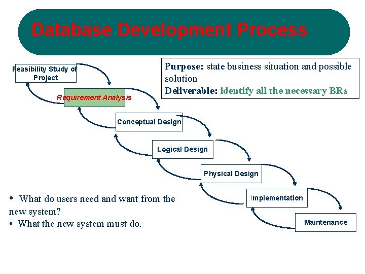 Database Development Process Feasibility Study of Project Requirement Analysis Purpose: state business situation and