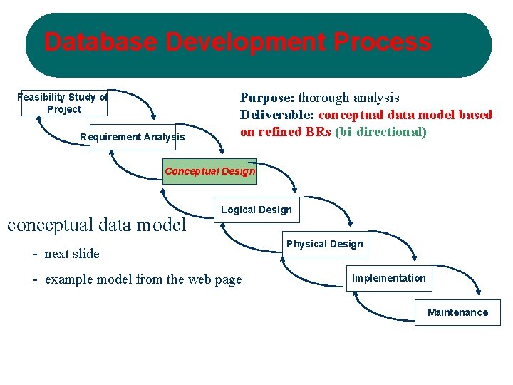 Database Development Process Feasibility Study of Project Requirement Analysis Purpose: thorough analysis Deliverable: conceptual