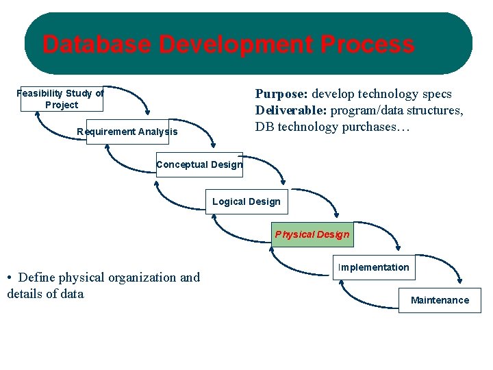 Database Development Process Purpose: develop technology specs Deliverable: program/data structures, DB technology purchases… Feasibility
