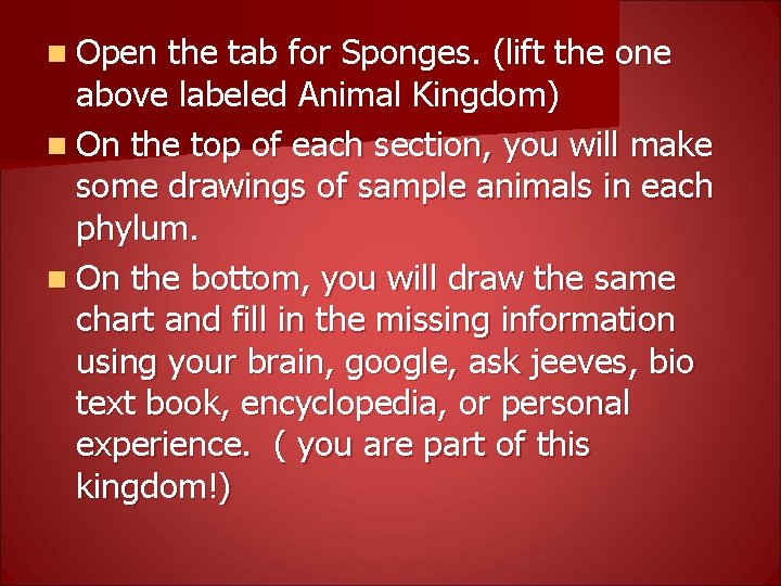 n Open the tab for Sponges. (lift the one above labeled Animal Kingdom) n