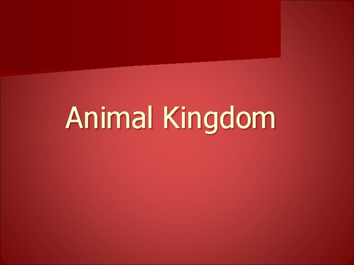 Animal Kingdom 