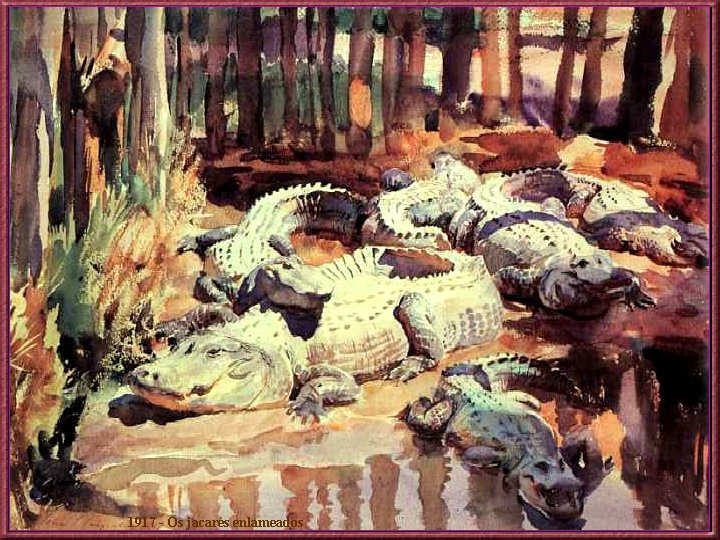 1917 - Os jacarés enlameados 
