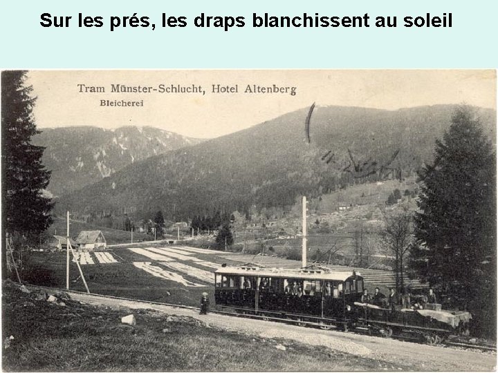 Sur les prés, les draps blanchissent au soleil 