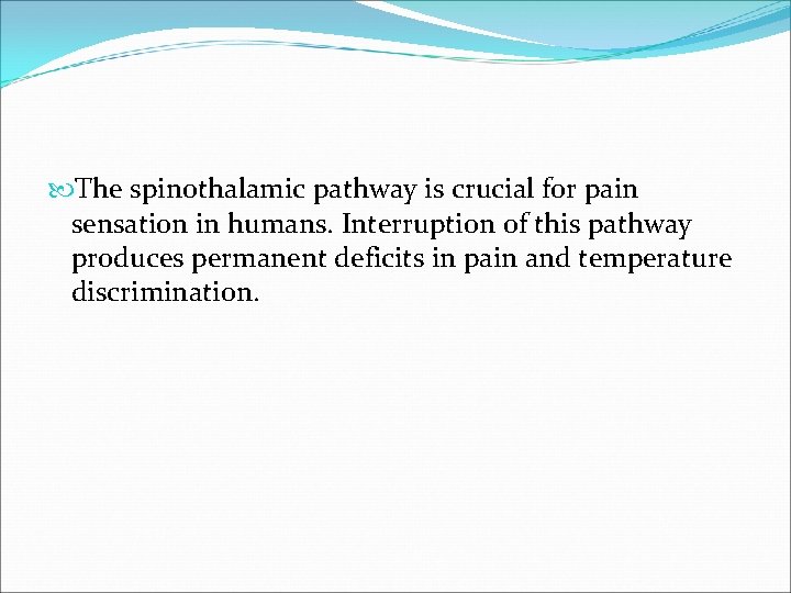  The spinothalamic pathway is crucial for pain sensation in humans. Interruption of this