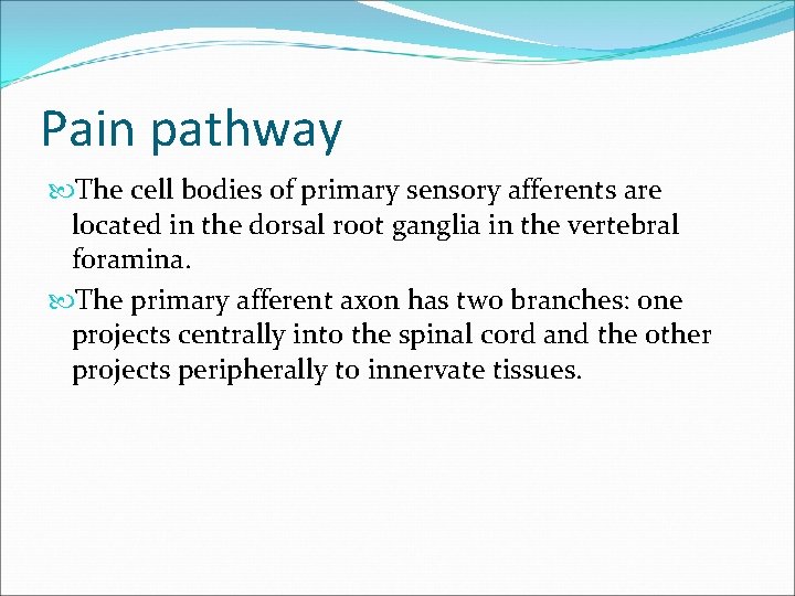 Pain pathway The cell bodies of primary sensory afferents are located in the dorsal
