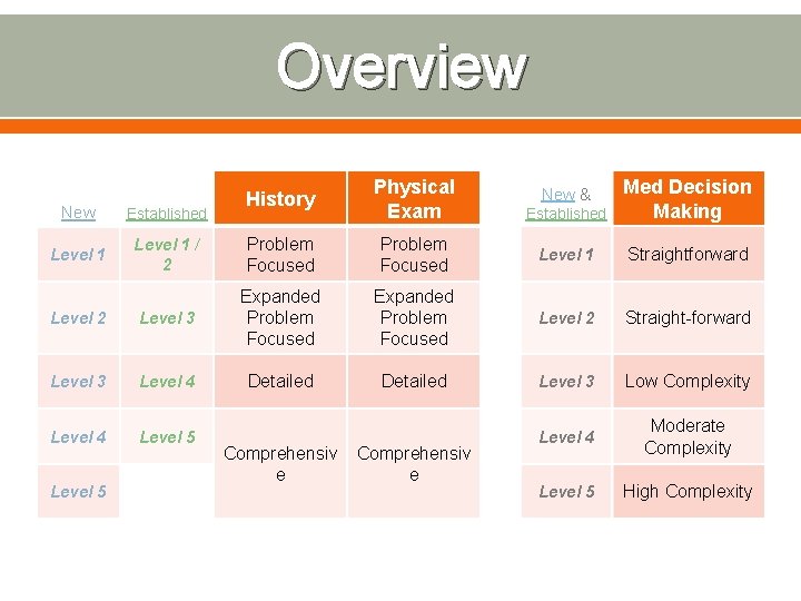 Overview History Physical Exam Established Med Decision Making Problem Focused Level 1 Straightforward Level