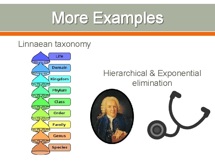 More Examples Linnaean taxonomy Hierarchical & Exponential elimination 