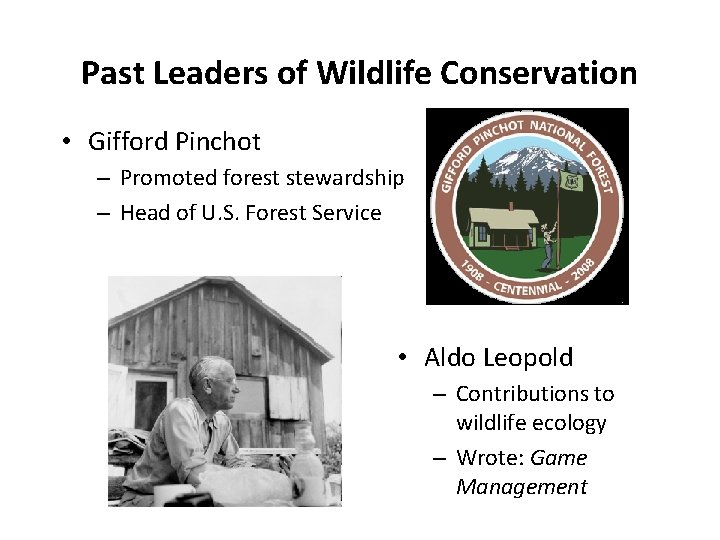 Past Leaders of Wildlife Conservation • Gifford Pinchot – Promoted forest stewardship – Head