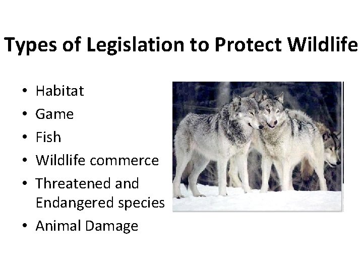 Types of Legislation to Protect Wildlife Habitat Game Fish Wildlife commerce Threatened and Endangered