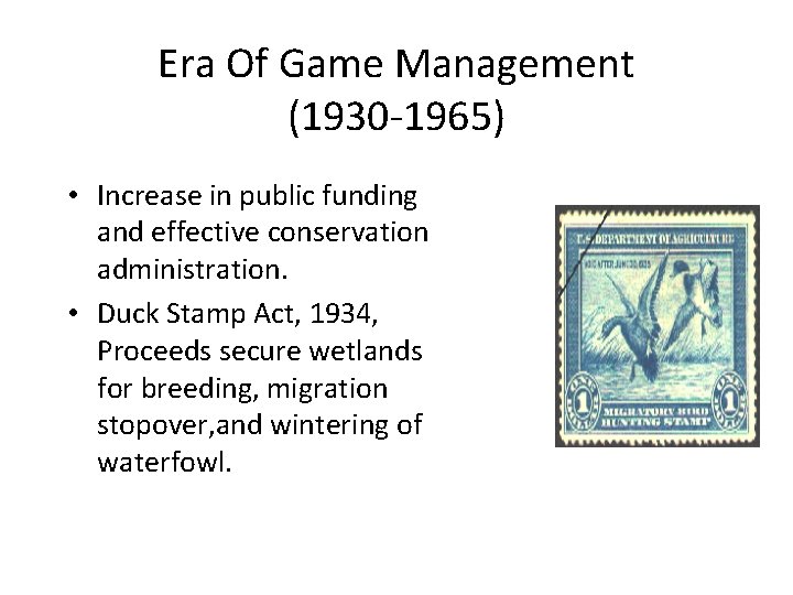 Era Of Game Management (1930 -1965) • Increase in public funding and effective conservation
