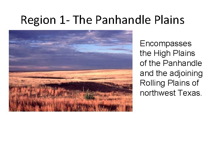 Region 1 - The Panhandle Plains Encompasses the High Plains of the Panhandle and