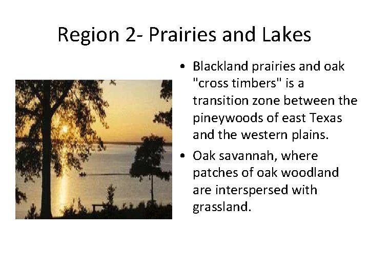 Region 2 - Prairies and Lakes • Blackland prairies and oak "cross timbers" is