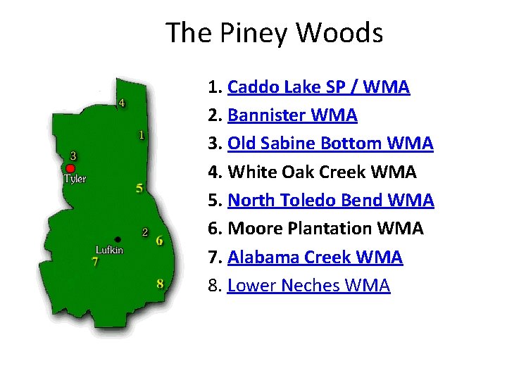 The Piney Woods 1. Caddo Lake SP / WMA 2. Bannister WMA 3. Old